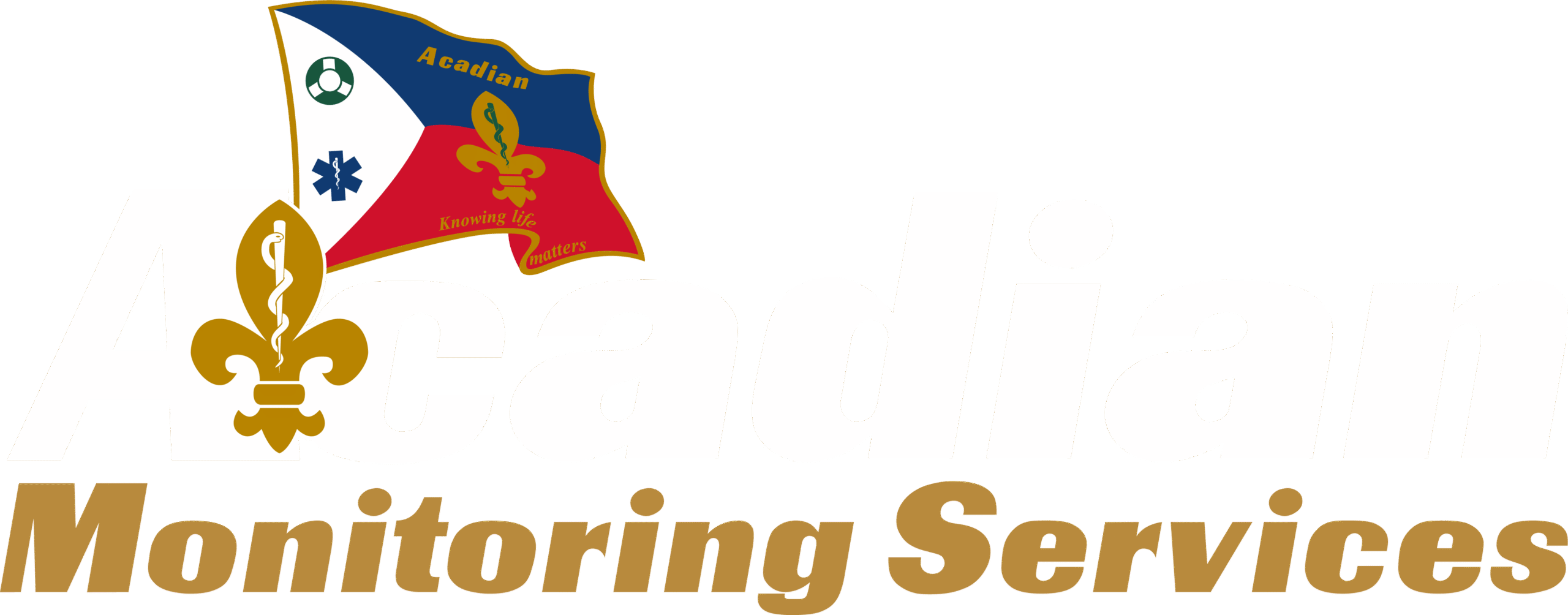 AMS0917_Logo_Reversed