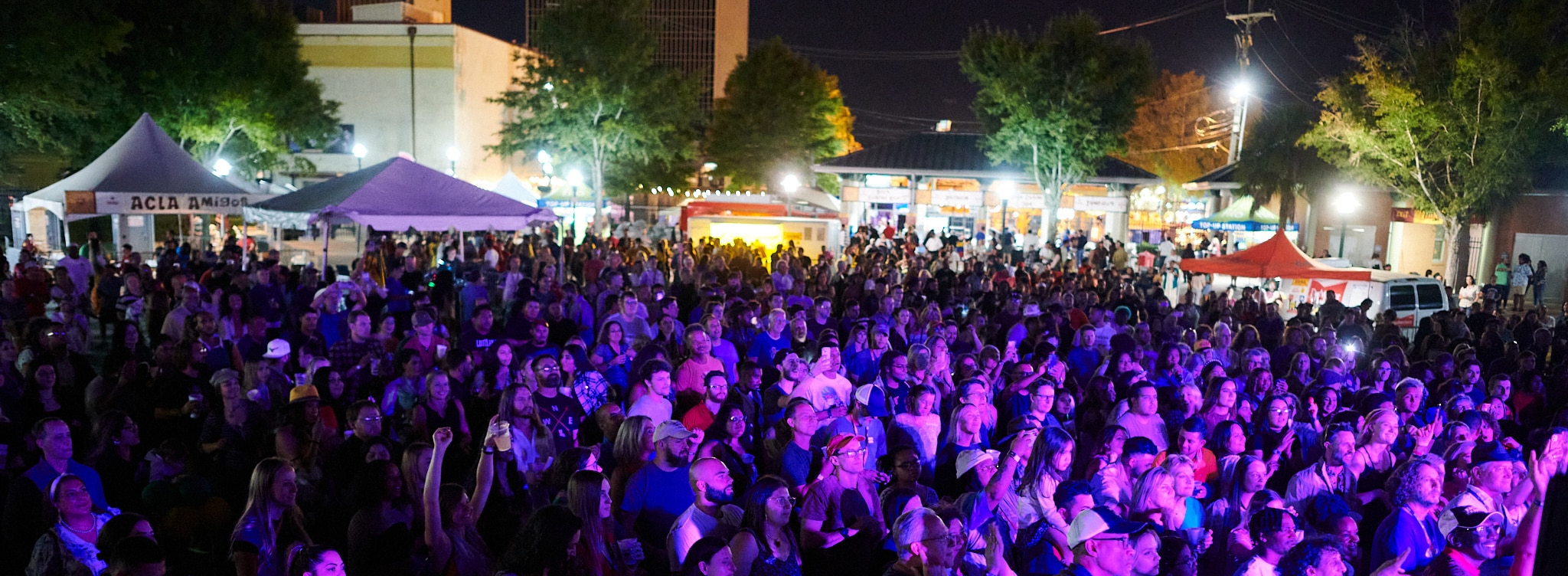 Festival crowd